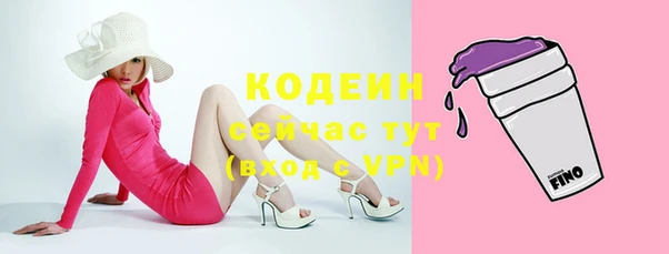 прущие грибы Инта