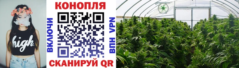 Марихуана семена  Купить где  Михайловка 